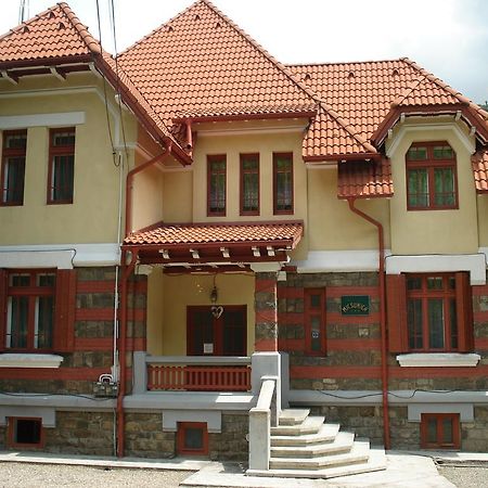 Pensiunea Micsunica Sinaia Dış mekan fotoğraf