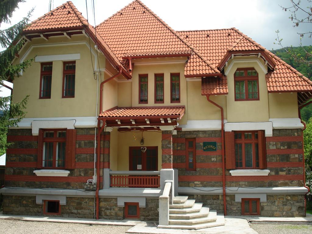 Pensiunea Micsunica Sinaia Dış mekan fotoğraf
